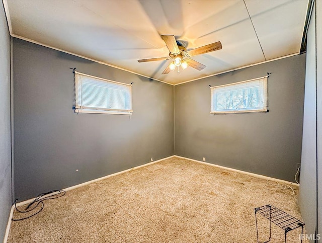 carpeted spare room featuring ornamental molding and ceiling fan