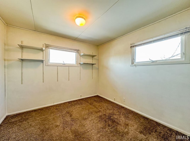 carpeted empty room featuring a wealth of natural light