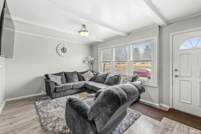 living room featuring beamed ceiling, light wood-type flooring, and a wealth of natural light