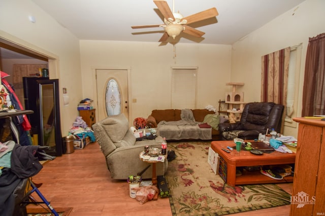 living room with ceiling fan and light wood-type flooring