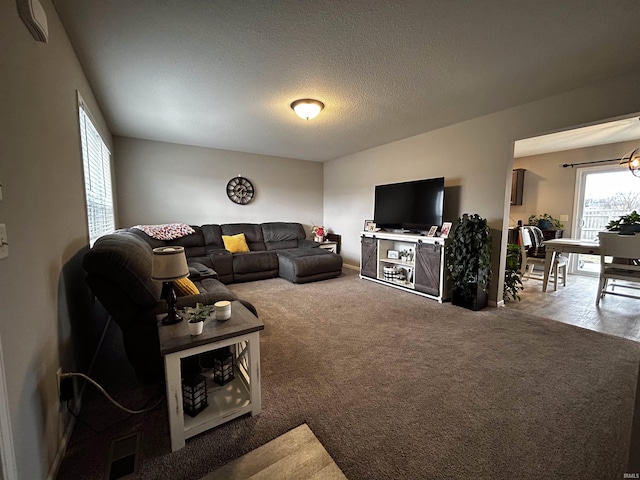 living room with carpet and a textured ceiling