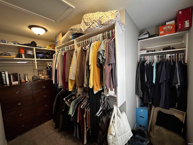 walk in closet with dark colored carpet