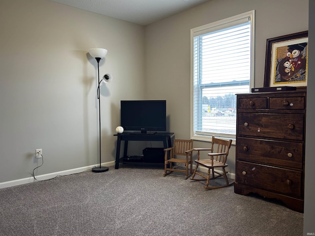 living area with carpet floors