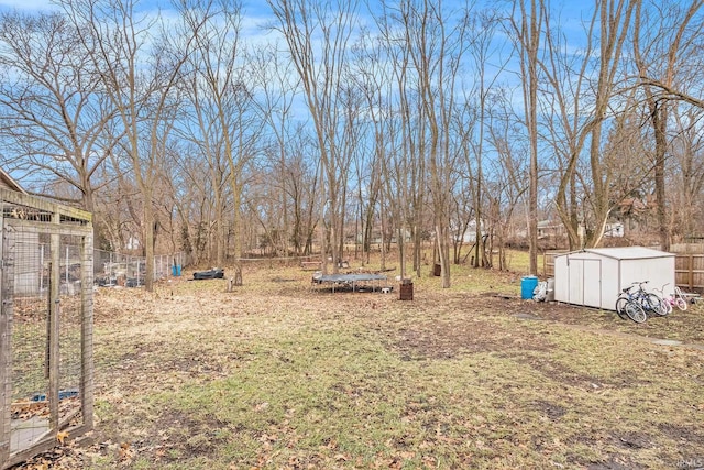 view of yard with a trampoline and a shed