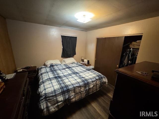 bedroom featuring dark wood-type flooring and a closet