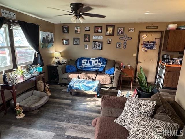 living room with ceiling fan and hardwood / wood-style floors