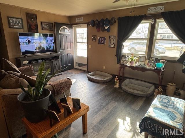 living room featuring ceiling fan and hardwood / wood-style floors