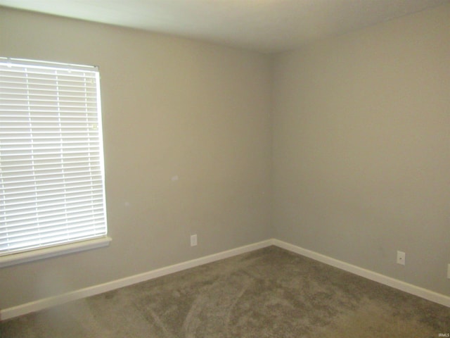 empty room featuring carpet flooring