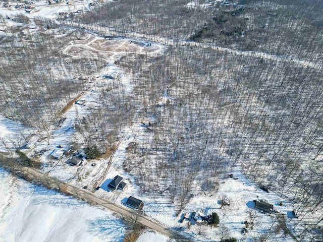 1192 Greer Ln, Springville, IN 47462 - view of snowy aerial view