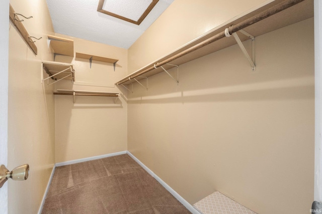 spacious closet featuring carpet floors