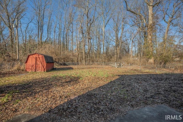 view of yard with a storage shed