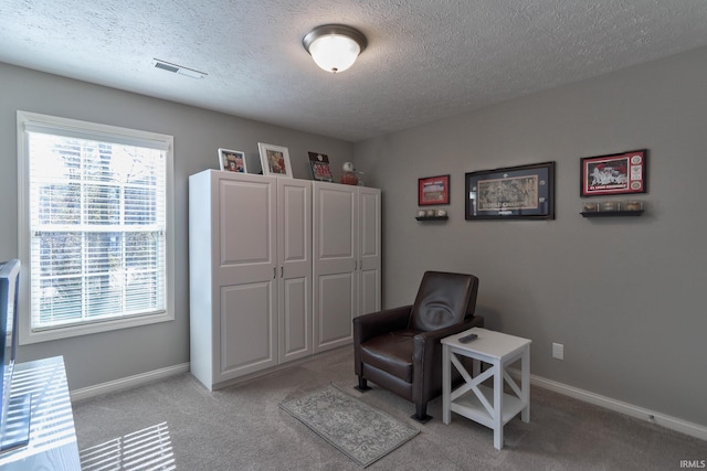 sitting room featuring light carpet and a textured ceiling