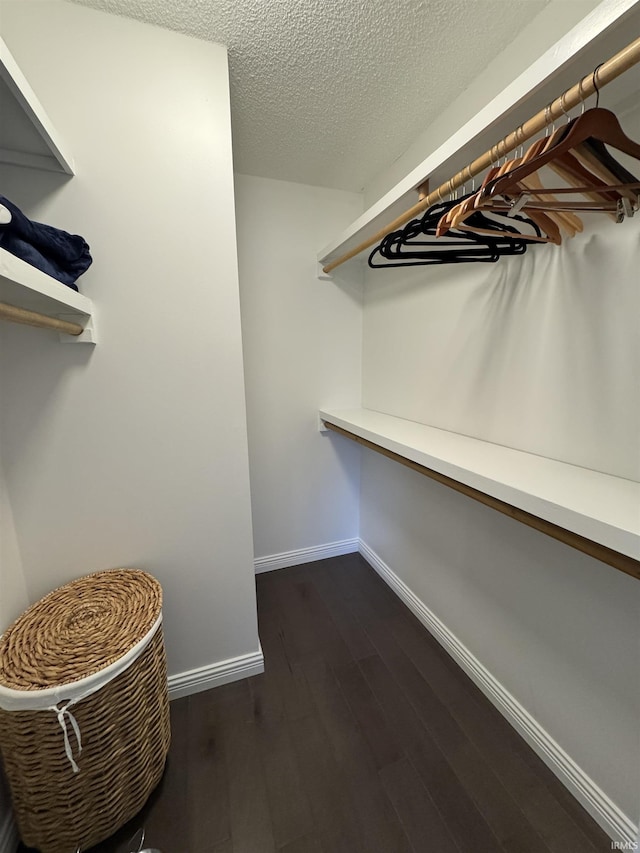 spacious closet with dark wood-type flooring