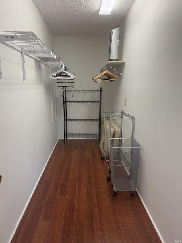 walk in closet with dark hardwood / wood-style floors