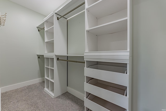 walk in closet featuring carpet flooring