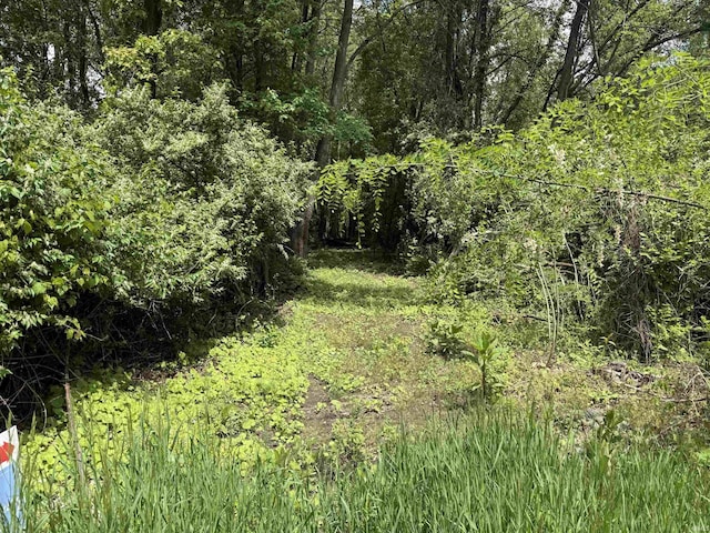 16855 Brick Rd, Granger, IN 46530