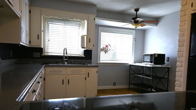 kitchen featuring sink, a textured ceiling, a healthy amount of sunlight, and ceiling fan