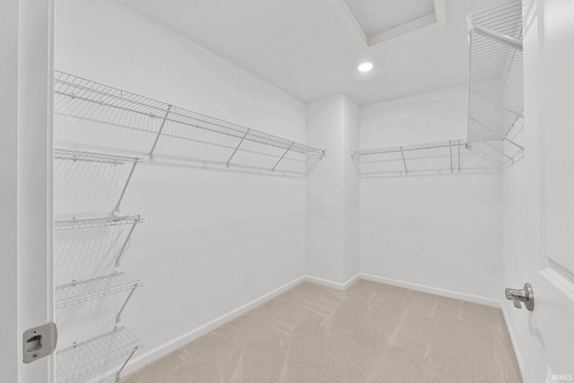 walk in closet with light carpet