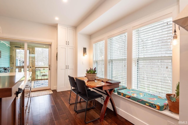 dining area with dark hardwood / wood-style floors and a wealth of natural light