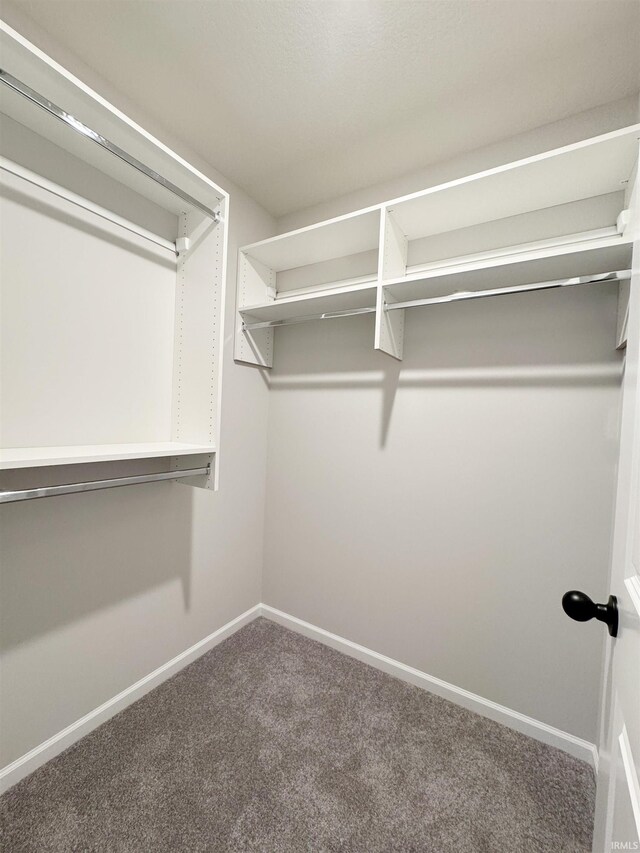 14812 Verona Lakes Psge, Fort Wayne, IN 46814 - spacious closet with carpet flooring