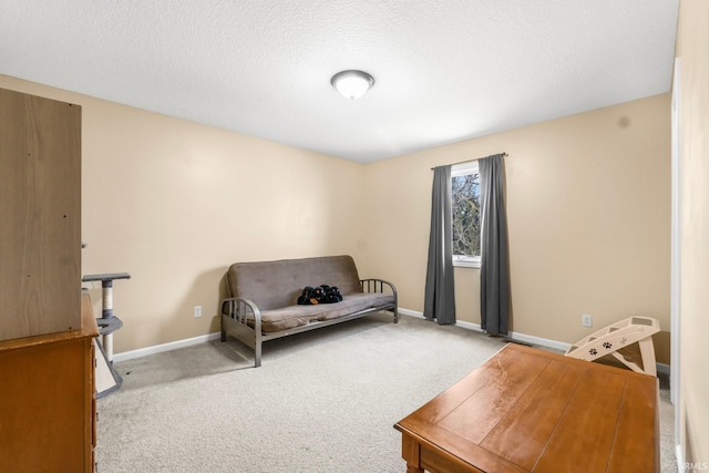 living area with light colored carpet and a textured ceiling