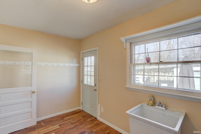 entryway featuring hardwood / wood-style flooring