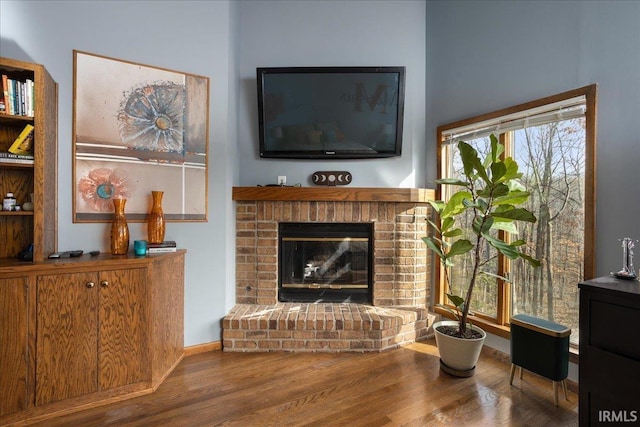 living room with wood-type flooring and a fireplace