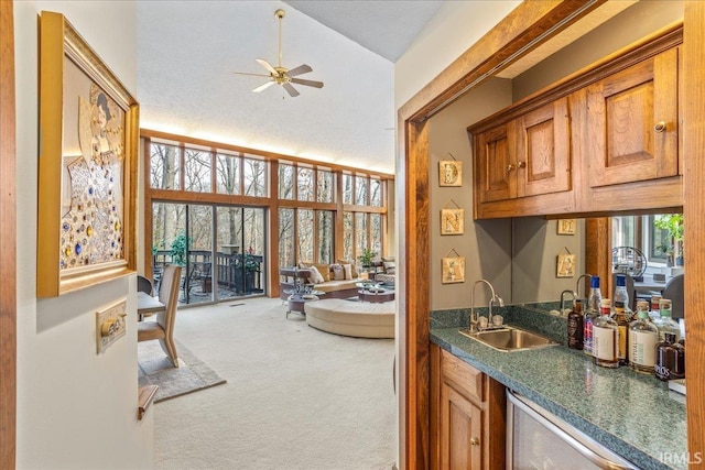 kitchen with sink, ceiling fan, and carpet