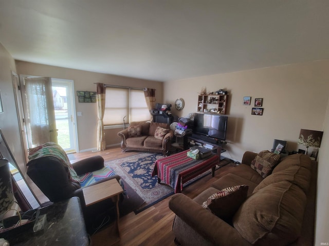 living room with hardwood / wood-style floors