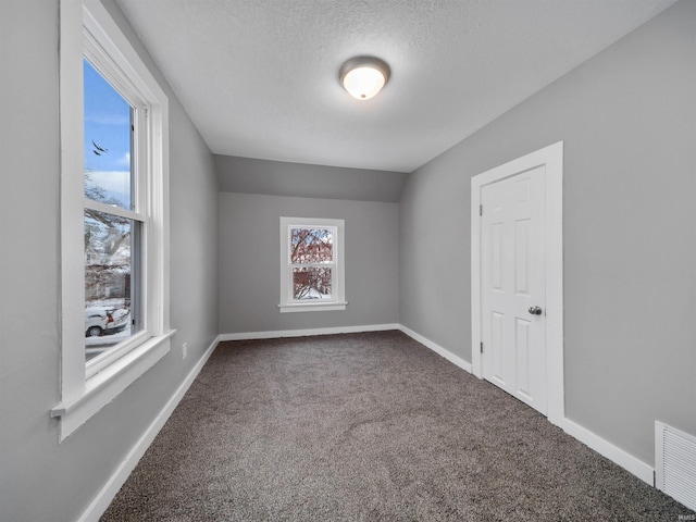 bonus room with carpet floors and a textured ceiling