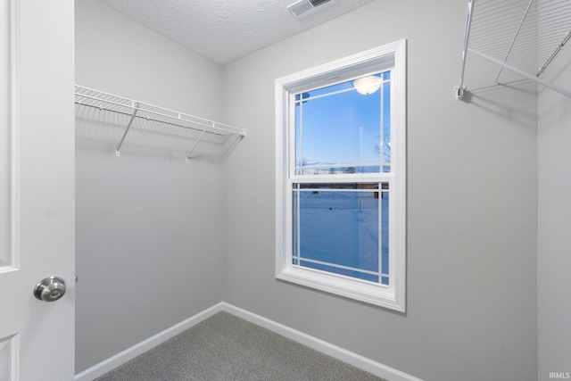 walk in closet featuring carpet floors