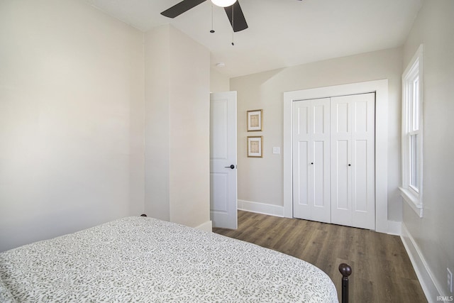 bedroom featuring ceiling fan, dark hardwood / wood-style floors, and a closet