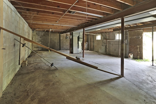 basement with heating unit