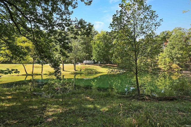 view of local wilderness featuring a water view