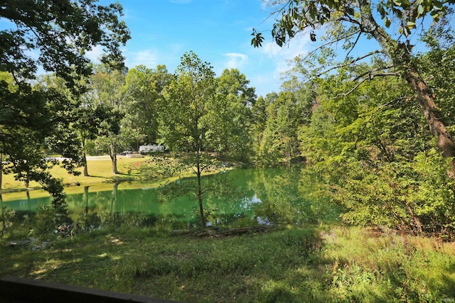 view of water feature