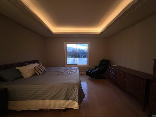 bedroom featuring wood-type flooring and a raised ceiling