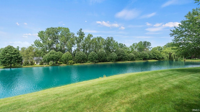 view of water feature