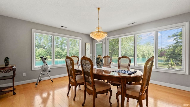 dining space with a textured ceiling and light hardwood / wood-style floors