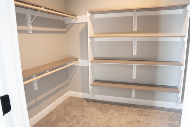 spacious closet featuring light carpet