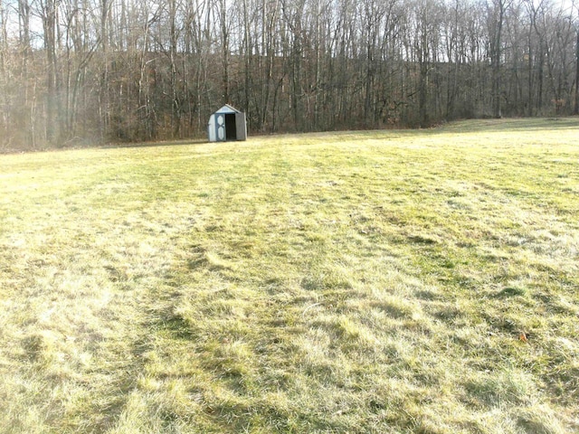 view of yard featuring a storage shed