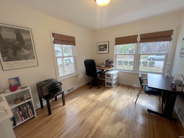 office space featuring a wealth of natural light and light hardwood / wood-style flooring