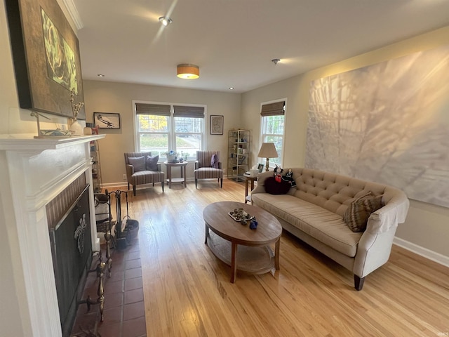 living room featuring a fireplace and light hardwood / wood-style flooring