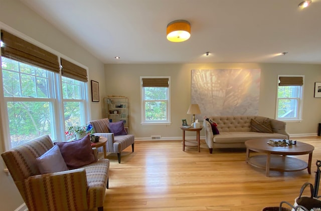 living room featuring light hardwood / wood-style floors