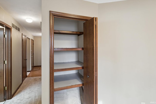 view of closet