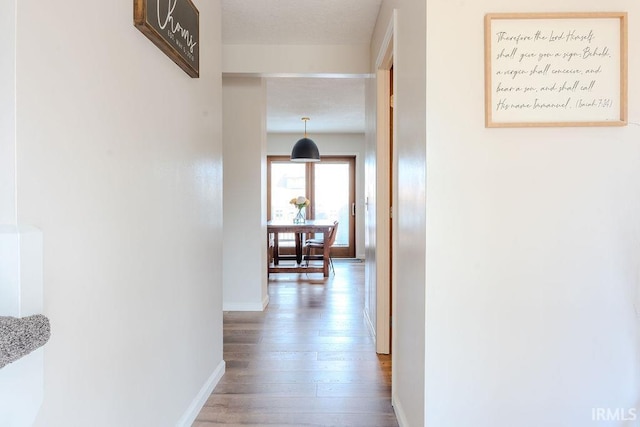 hall with hardwood / wood-style floors