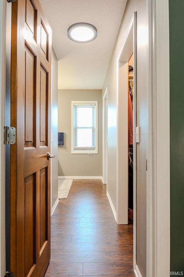 hall with dark wood-type flooring