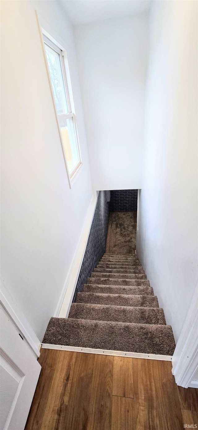 stairs featuring wood-type flooring