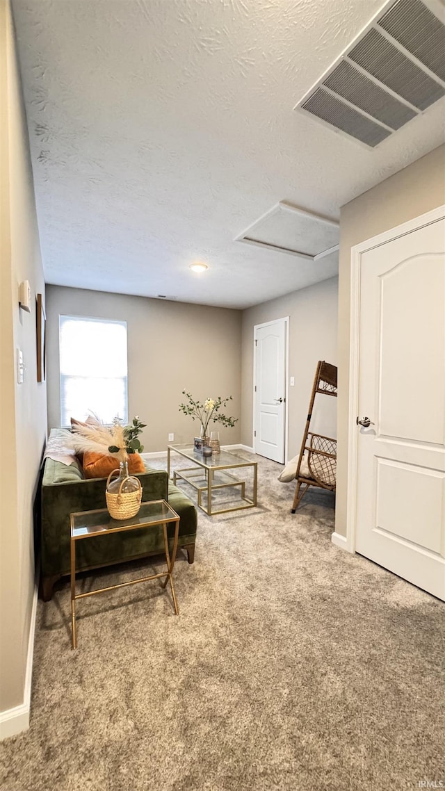 living room with carpet and a textured ceiling