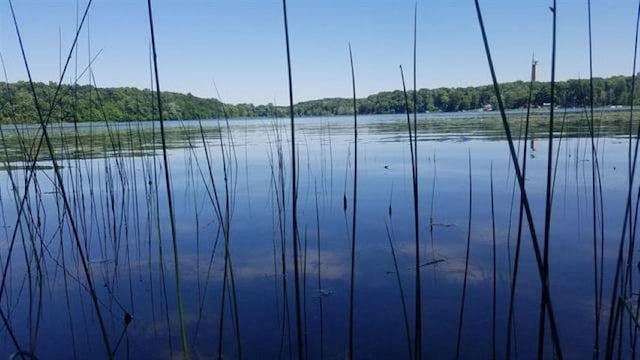 210 Ln 205 Fox Lk, Angola IN, 46703 land for sale