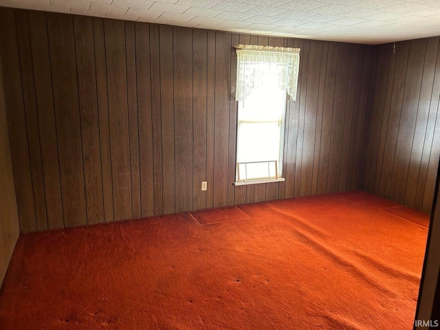 empty room featuring wooden walls and carpet